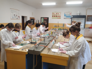 IMG 20251010 101707623