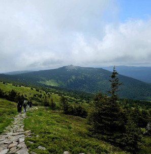 thumbnail 1000040841