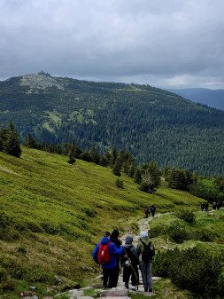 thumbnail 1000040844