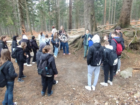 thumbnail IMG 20250402 121703514