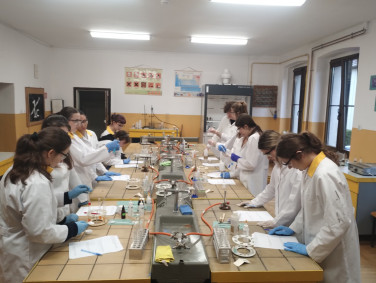 thumbnail IMG 20250522 082424863